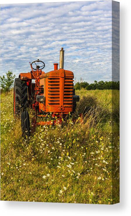 Tractor Canvas Print featuring the photograph Red Tractor in a green Meadow. by John Paul Cullen
