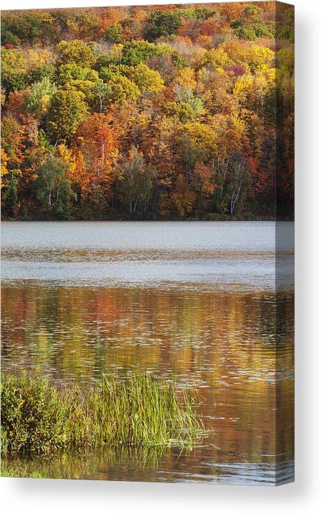 Shoreline Canvas Print featuring the photograph Reflection Of Autumn Colors In A Lake by Susan Dykstra