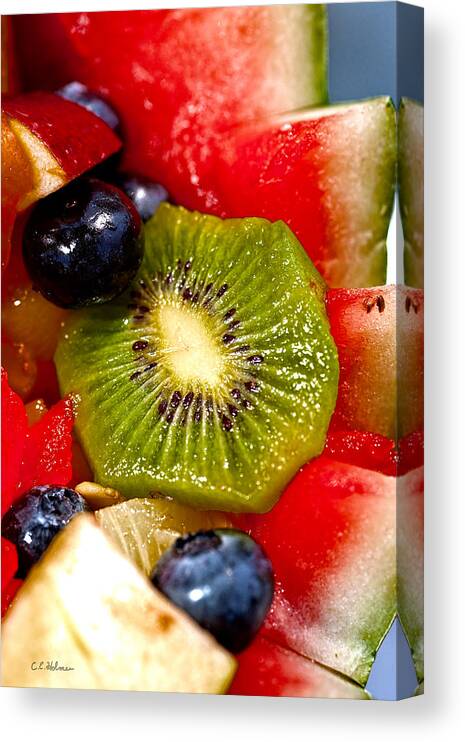 Fruit Canvas Print featuring the photograph Refreshing by Christopher Holmes