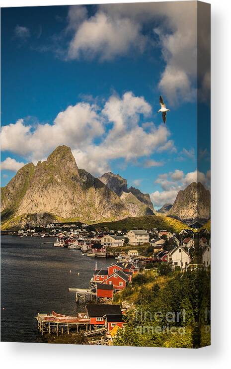 Reine Canvas Print featuring the photograph Reine in the sun by Howard Ferrier