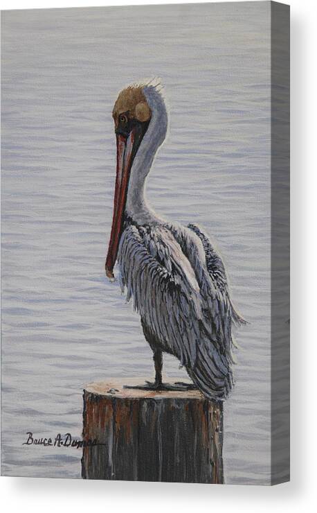 Wildlife Canvas Print featuring the painting Resting Pelican by Bruce Dumas