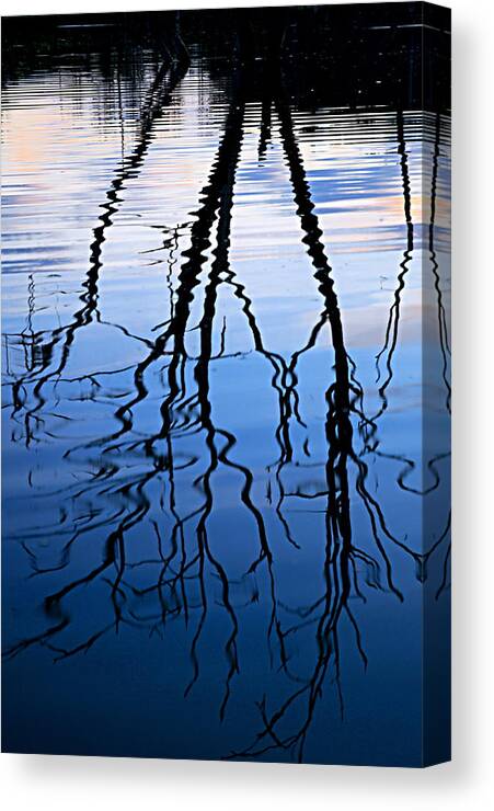 Chester Woods County Park Canvas Print featuring the photograph Rippled Reflections by Larry Ricker