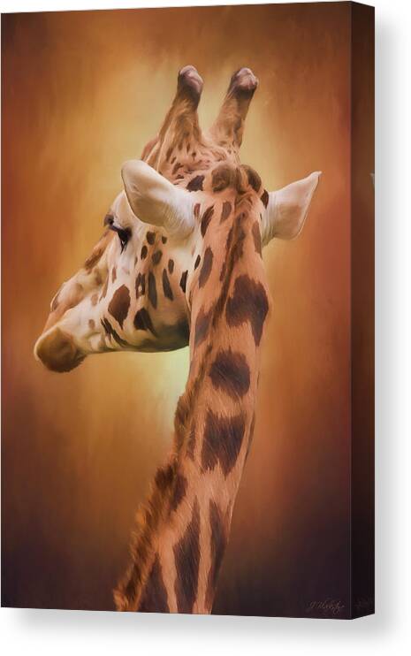 Rising Above Canvas Print featuring the photograph Rising Above - Giraffe Art by Jordan Blackstone