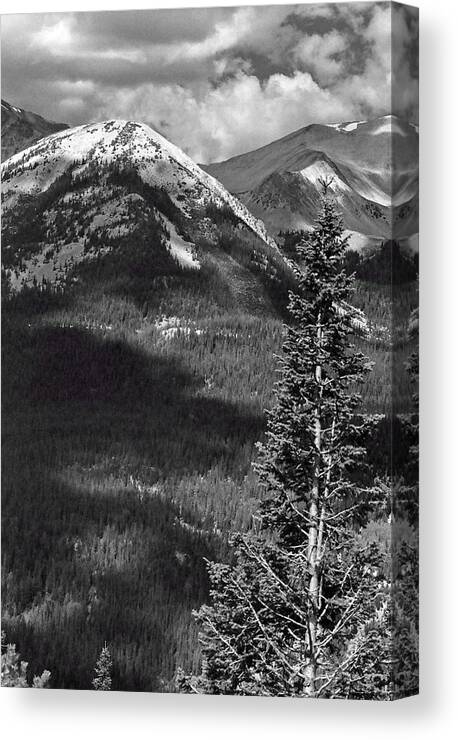 Rocky Mountain National Park Canvas Print featuring the photograph RMNP - Infrared 42 by Pamela Critchlow