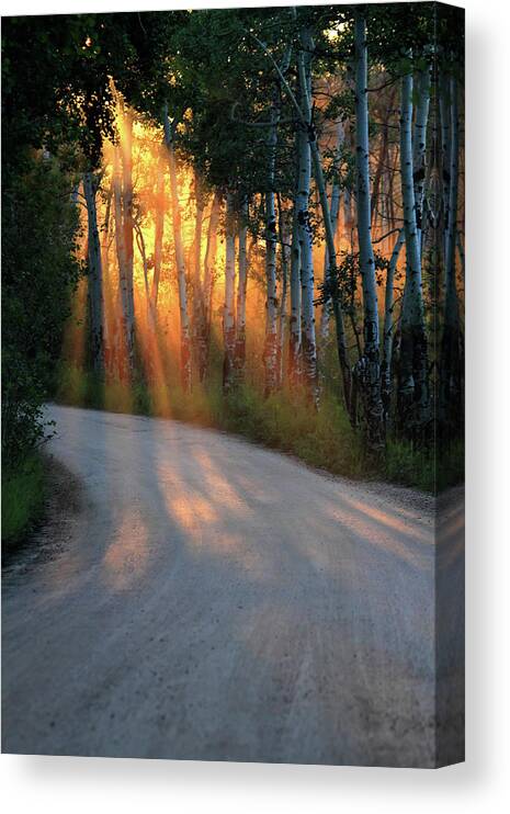 Rays Canvas Print featuring the photograph Road Rays by Shane Bechler