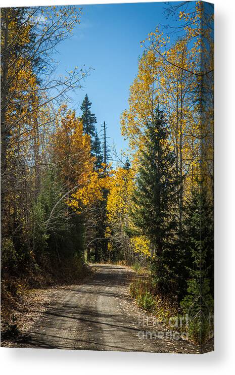 Autumn Canvas Print featuring the photograph Road To Fall Colors by Robert Bales