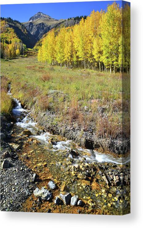 Colorado Canvas Print featuring the photograph Roadside Creek near Red Mountain Pass by Ray Mathis
