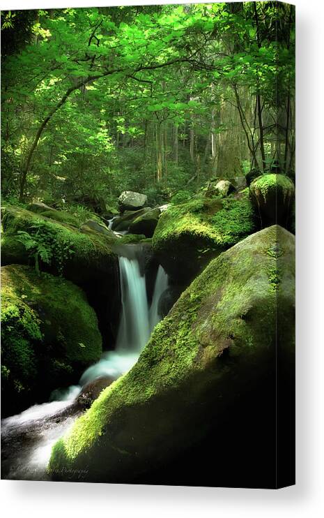 Lush Canvas Print featuring the photograph Roaring Fork by C Renee Martin