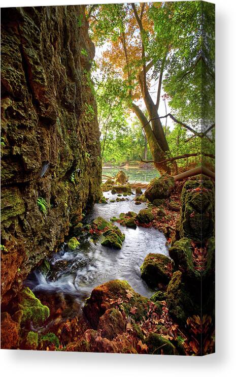 River Canvas Print featuring the photograph Roaring Spring by Robert Charity