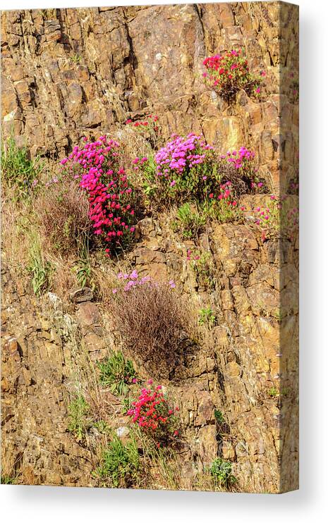 Australia Canvas Print featuring the photograph Rock Cutting 1 by Werner Padarin