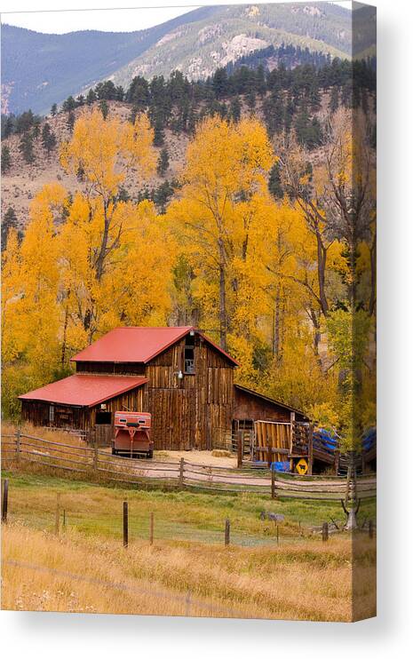 Rustic Canvas Print featuring the photograph Rocky Mountain Barn Autumn View by James BO Insogna