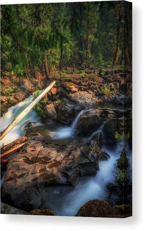 Water Canvas Print featuring the photograph Rogue River by Cat Connor
