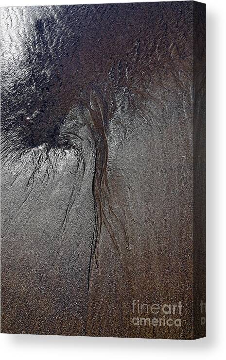 Seascape Canvas Print featuring the photograph Rooted by Lauren Leigh Hunter Fine Art Photography
