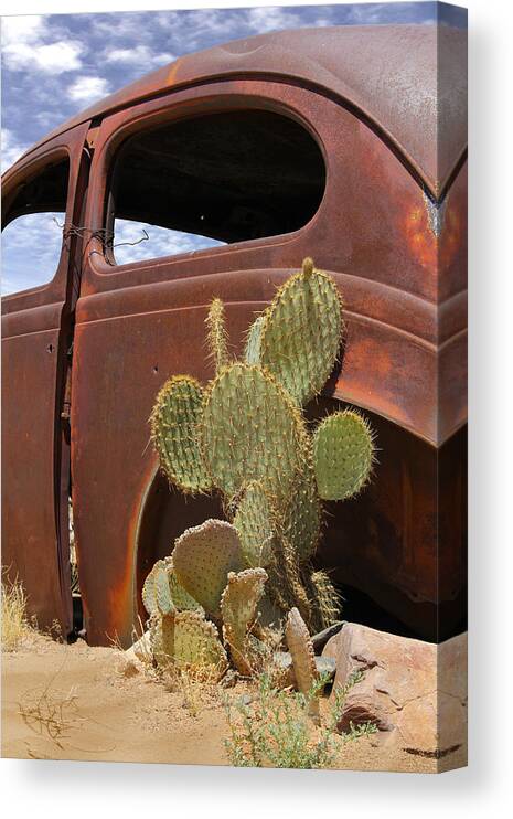 Southwest Canvas Print featuring the photograph Route 66 Cactus by Mike McGlothlen