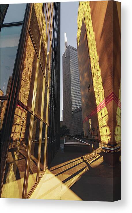 Light Canvas Print featuring the photograph Saffron by Peter Hull