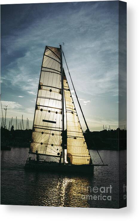 Active Canvas Print featuring the photograph Sailboat in Front of Sun in Harbor by Andreas Berthold