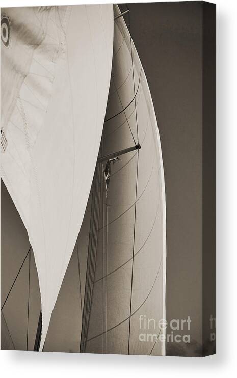 Sailing Canvas Print featuring the photograph Sails by Dustin K Ryan