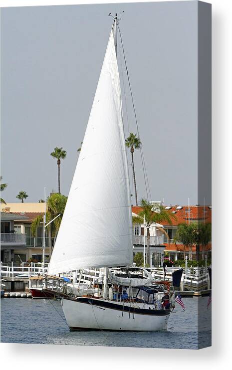 Sail Boat Canvas Print featuring the photograph Sails Up by Shoal Hollingsworth