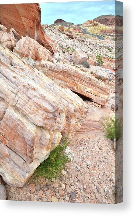 Valley Of Fire State Park Canvas Print featuring the photograph Sandstone along Park Road in Valley of Fire by Ray Mathis