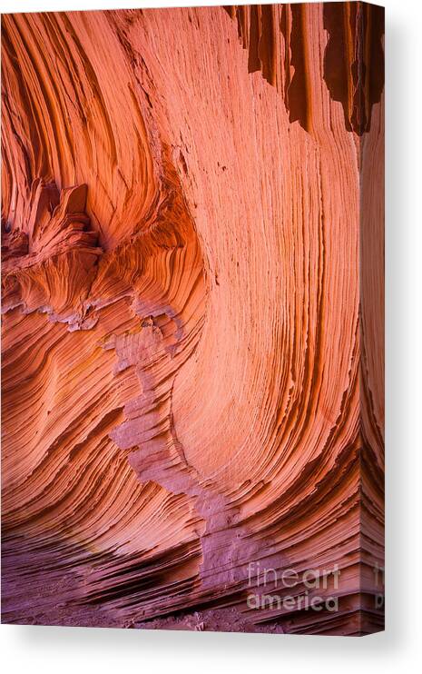 America Canvas Print featuring the photograph Sandstone Cosmos by Inge Johnsson