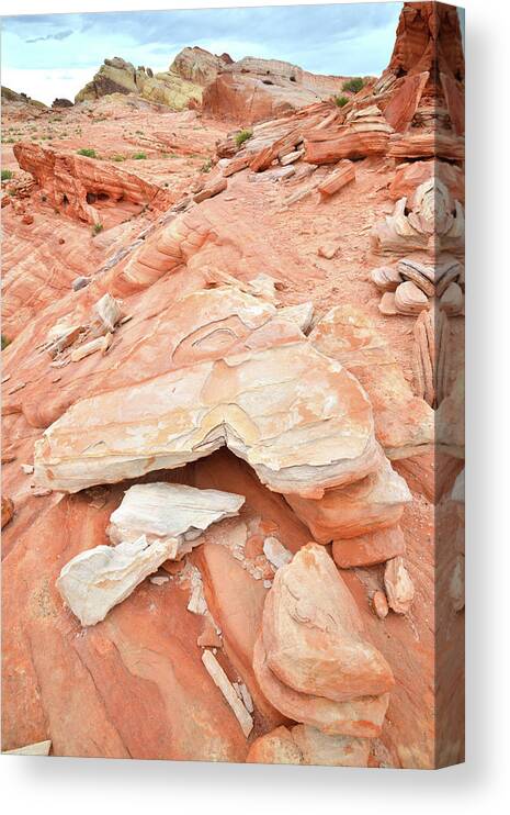 Valley Of Fire State Park Canvas Print featuring the photograph Sandstone Heart in Valley of Fire by Ray Mathis