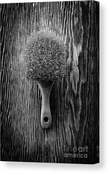 Art Canvas Print featuring the photograph Scrub Brush UP BW by YoPedro