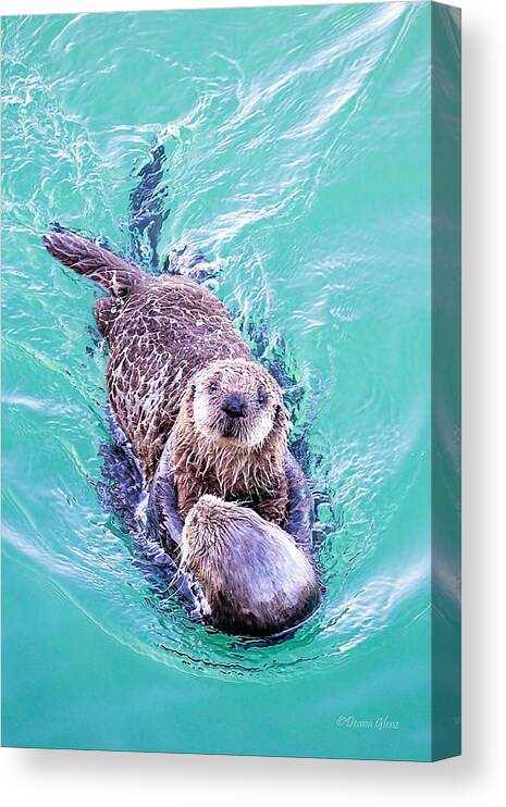 Sea Canvas Print featuring the photograph Sea Otter Pup by Deana Glenz
