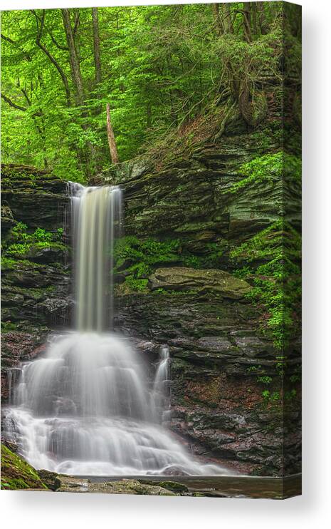 Ricketts Glen State Park Canvas Print featuring the photograph Sheldon Falls In Early Morning Light by Angelo Marcialis