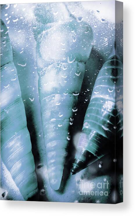 Bathroom Canvas Print featuring the photograph Shells and ocean spray by Jorgo Photography