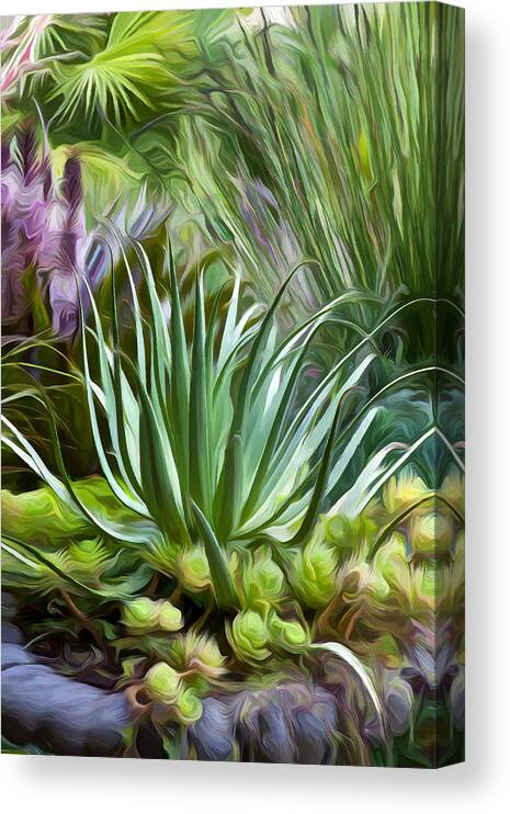 Containers Canvas Print featuring the photograph Sherrie's Spider Agave by Saxon Holt