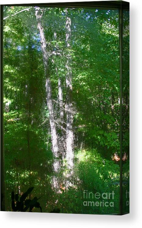 Trees Canvas Print featuring the photograph Shimmer Tree by Beebe Barksdale-Bruner