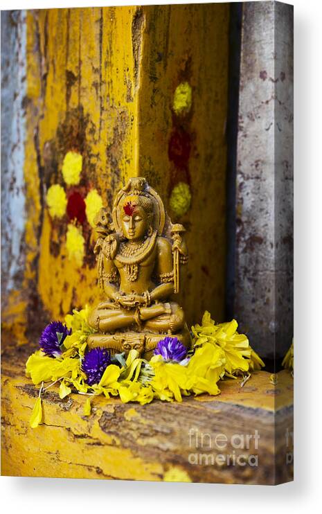 Shiva Canvas Print featuring the photograph Shiva Devotion by Tim Gainey