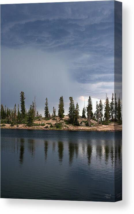 Landscape Canvas Print featuring the photograph Shoreline Pine Trees and Storm by Brett Pelletier