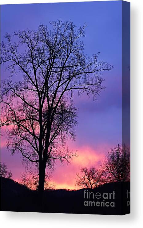 Photography Canvas Print featuring the photograph Silhouette at Dawn by Larry Ricker