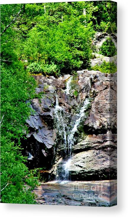 Water Canvas Print featuring the photograph Silver Cascade by Barbara S Nickerson