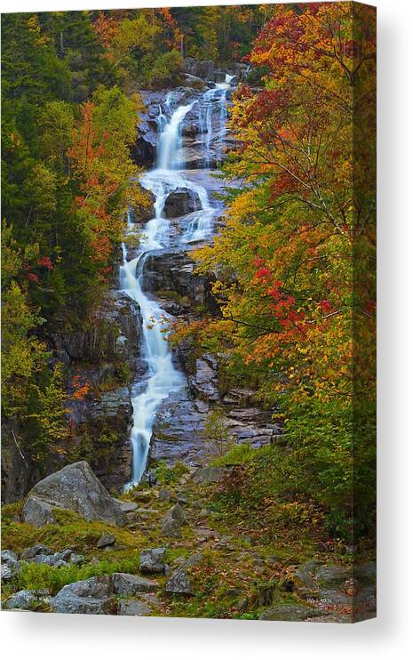 Waterfall Canvas Print featuring the photograph Silver Cascade by Dale J Martin