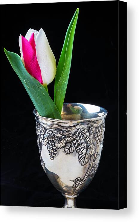 Single Canvas Print featuring the photograph Silver Cup And Tulip by Garry Gay
