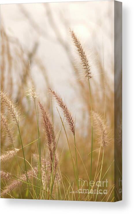 Grass Canvas Print featuring the photograph Simply Grass by Vicki Ferrari