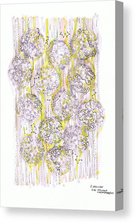 Chromatography Canvas Print featuring the drawing Size Exclusion Chromatography by Regina Valluzzi