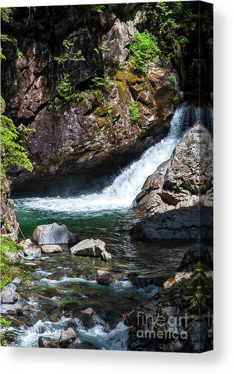 Cascade-mountains Canvas Print featuring the photograph Small Waterfall In Mountain Stream by Kirt Tisdale