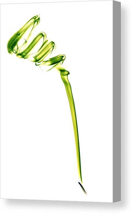 Smoke Canvas Print featuring the photograph Smoke Spiral - Green by Nick Bywater