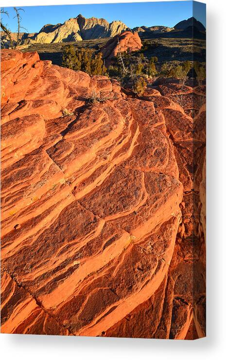 Snow Canyon State Park Canvas Print featuring the photograph Snow Canyon Sunrise by Ray Mathis