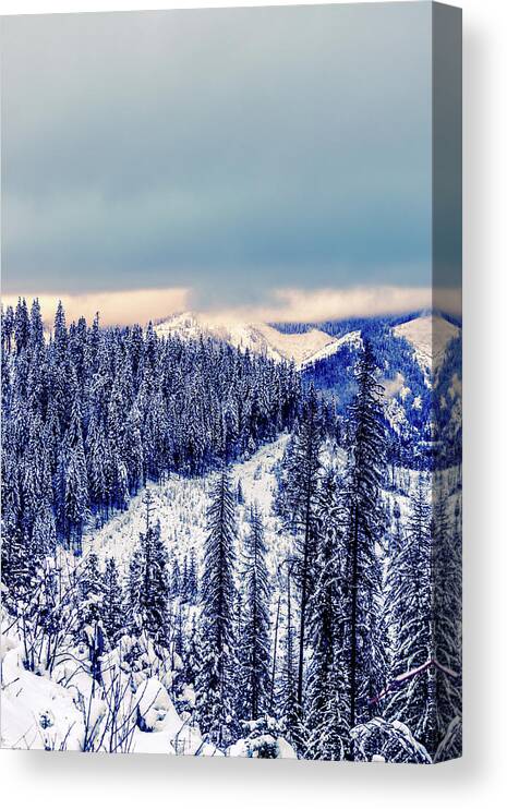Idaho Canvas Print featuring the photograph Snow Covered Mountains by Lester Plank