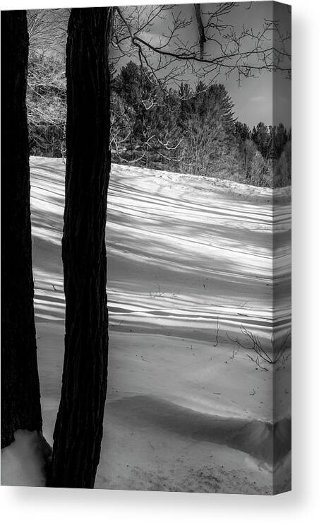 Vermont Winter Canvas Print featuring the photograph Snow Shadows by Tom Singleton