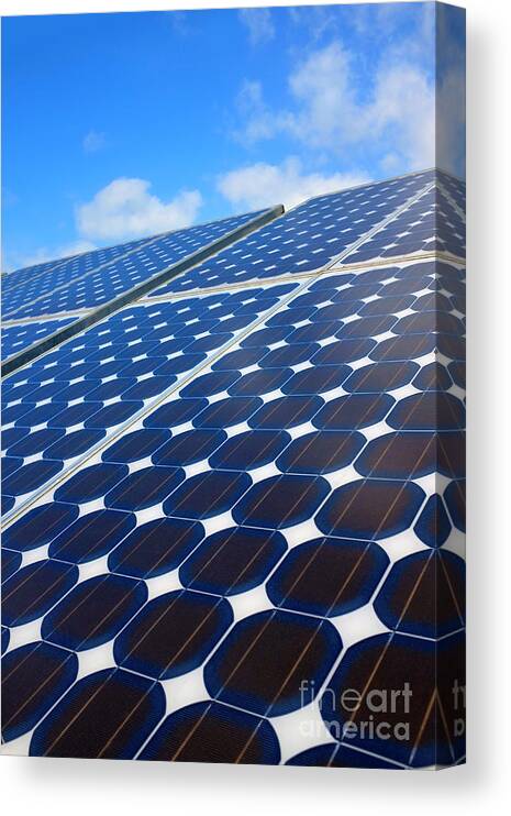 Environment Canvas Print featuring the photograph Solar pannel by Carlos Caetano