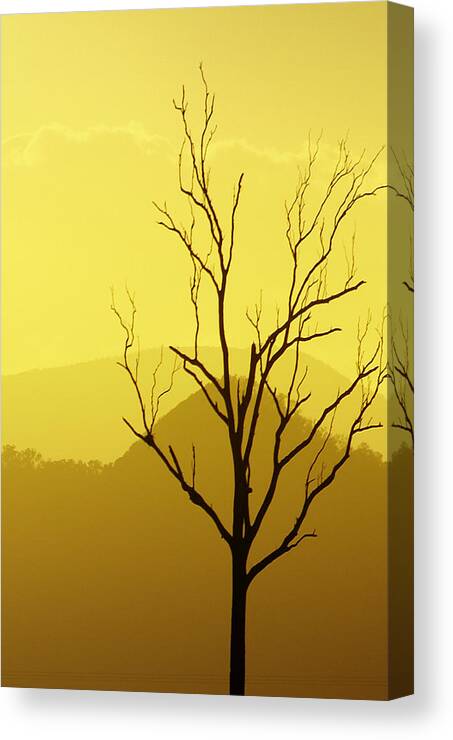 Landscape Canvas Print featuring the photograph Solitude by Holly Kempe