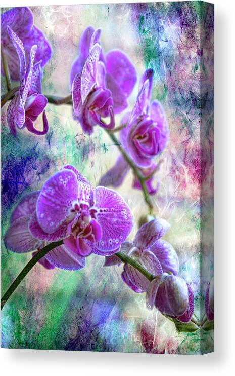 Orchids Canvas Print featuring the photograph Somewhere Over the Rainbow by Joan Bertucci