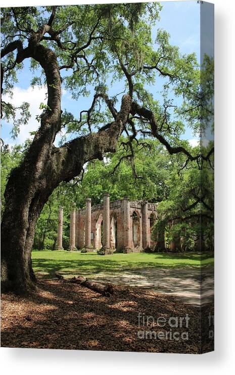 Old Sheldon Church Ruins Canvas Print featuring the photograph South Carolina Spiritual by Carol Groenen