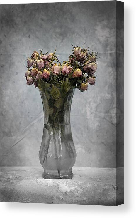 Roses Canvas Print featuring the photograph Spent by DArcy Evans
