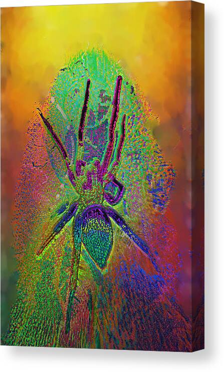 Spider Canvas Print featuring the mixed media Spider by Kevin Caudill